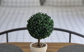 Studio Apartment S&N